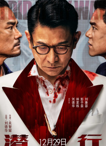 国内精品久久久久久久亚洲